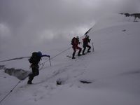 Zufallsbilder  39